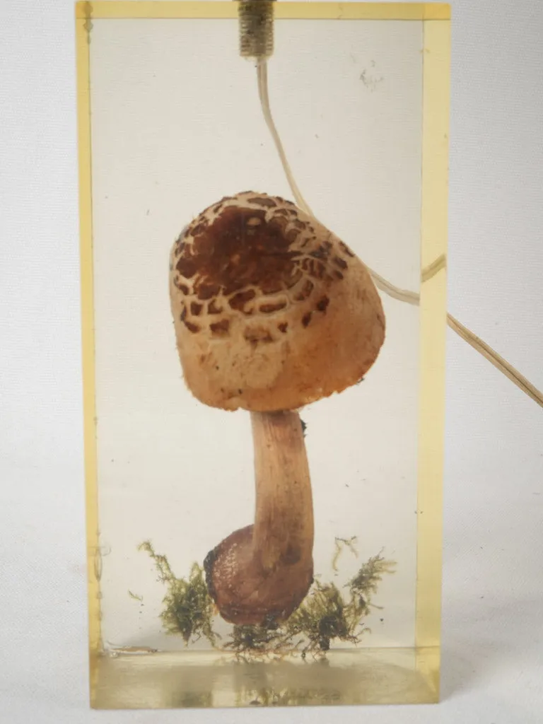 1970s table lamp w/ mushroom in resin - Pierre Giraudon (1923-2012) - 19"