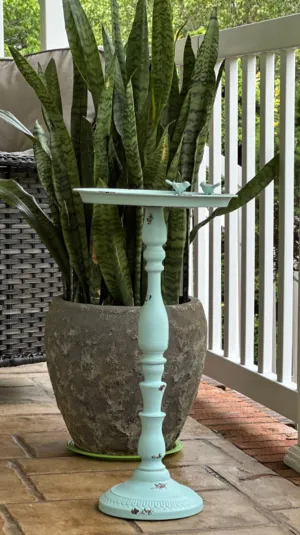 Bird Bath