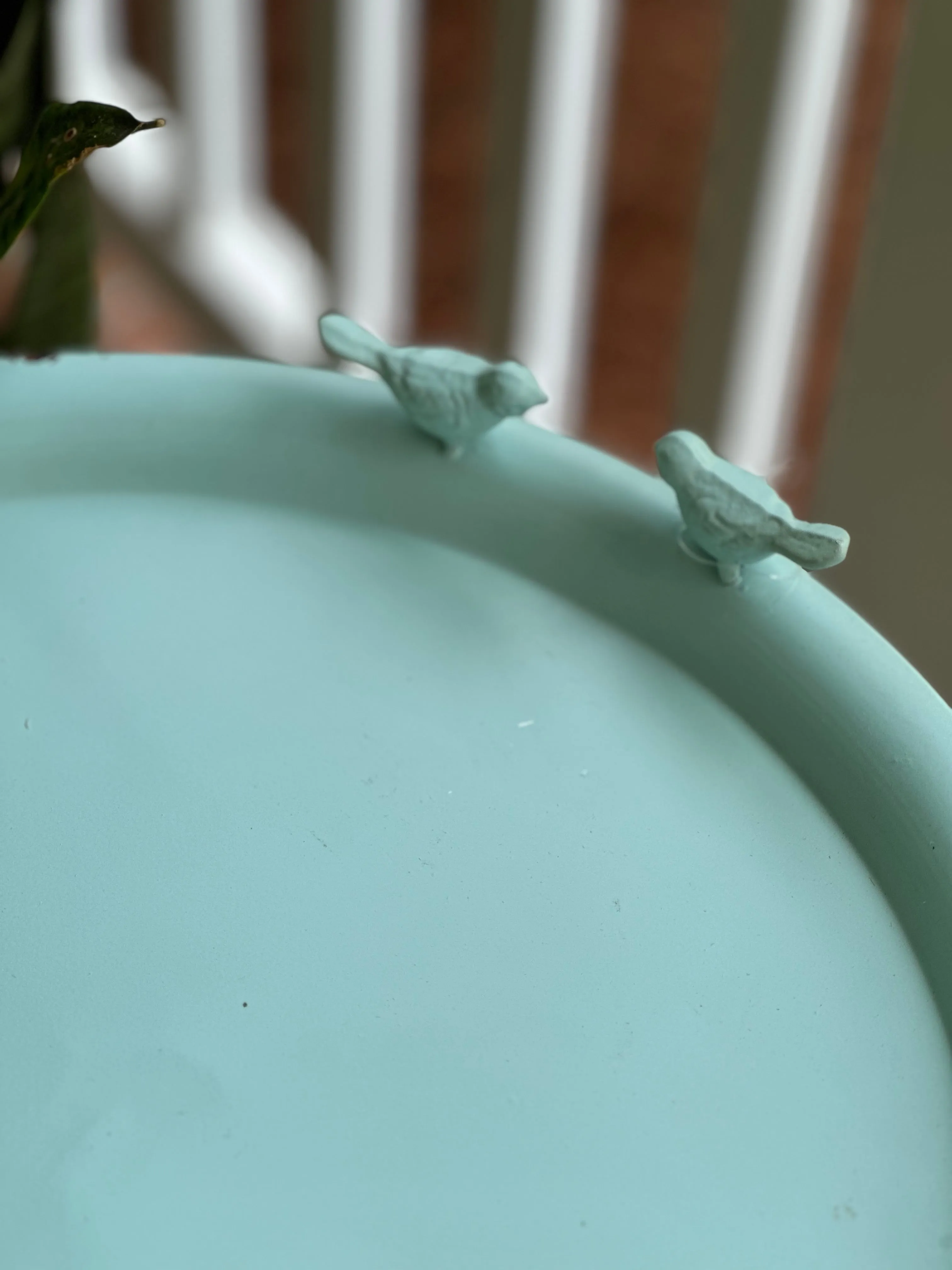 Bird Bath