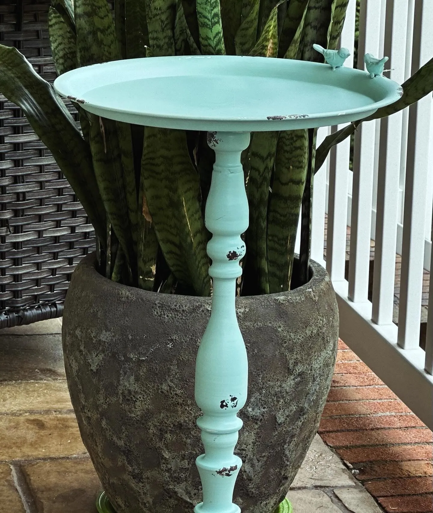 Bird Bath