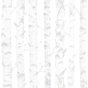 Birdie Grey Birch Wallpaper from the Fable Collection