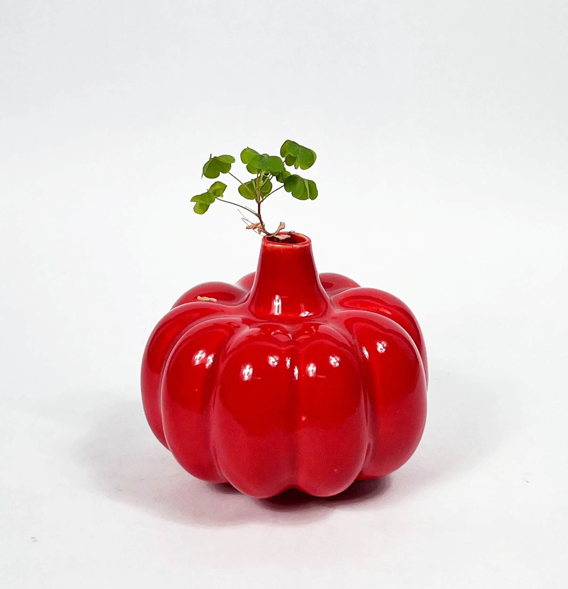 Bliss Hohm Pumpkin Ceramic Flower Vase for Home Decor and Gifting, Flower Vase for Living Room & Office Decor, Pampas Grass Vase, Ceramic Pumpkin Red Vase, Small Vase (Red Pumpkin)