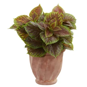 Coleus Artificial Plant in Terra Cotta Planter (Real Touch)