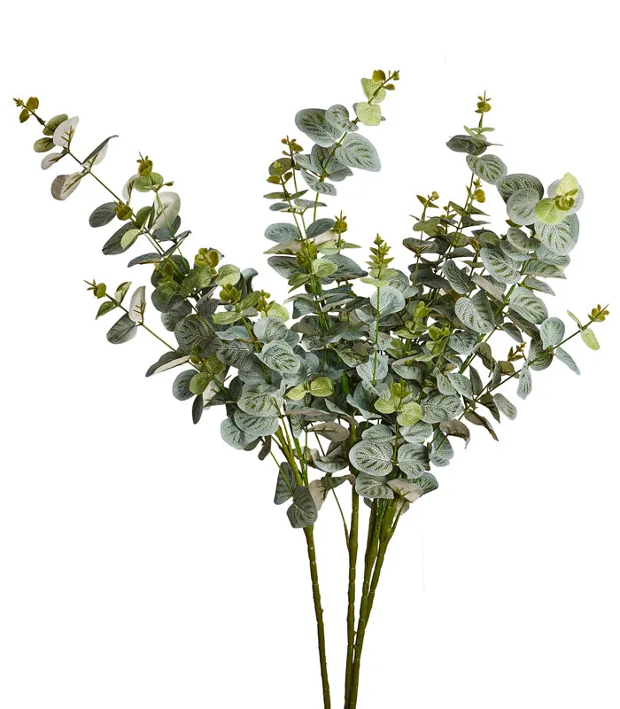 Eucalyptus Gunni Green - Set of 4