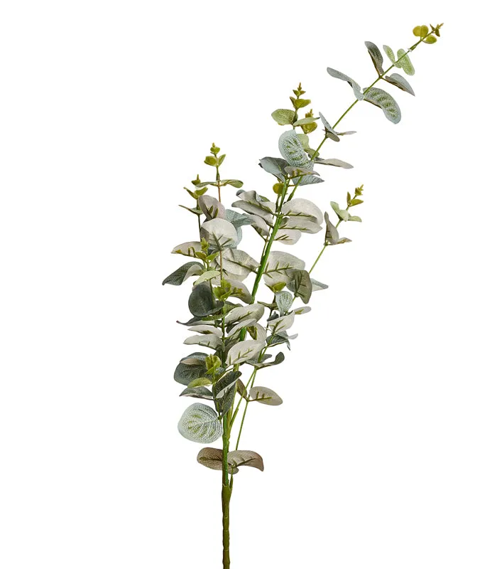 Eucalyptus Gunni Green - Set of 4