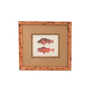 Fish Print B, Matted and Framed