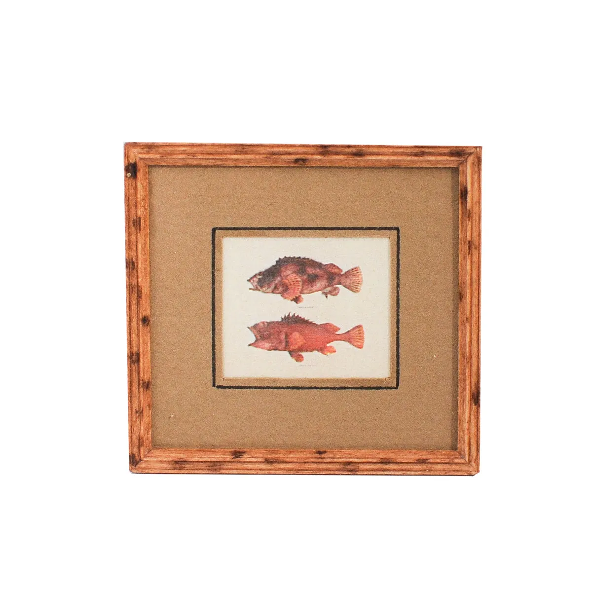Fish Print B, Matted and Framed