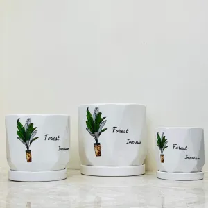 Geometric White Ceramic Planters - Forest Impression Set Of 3