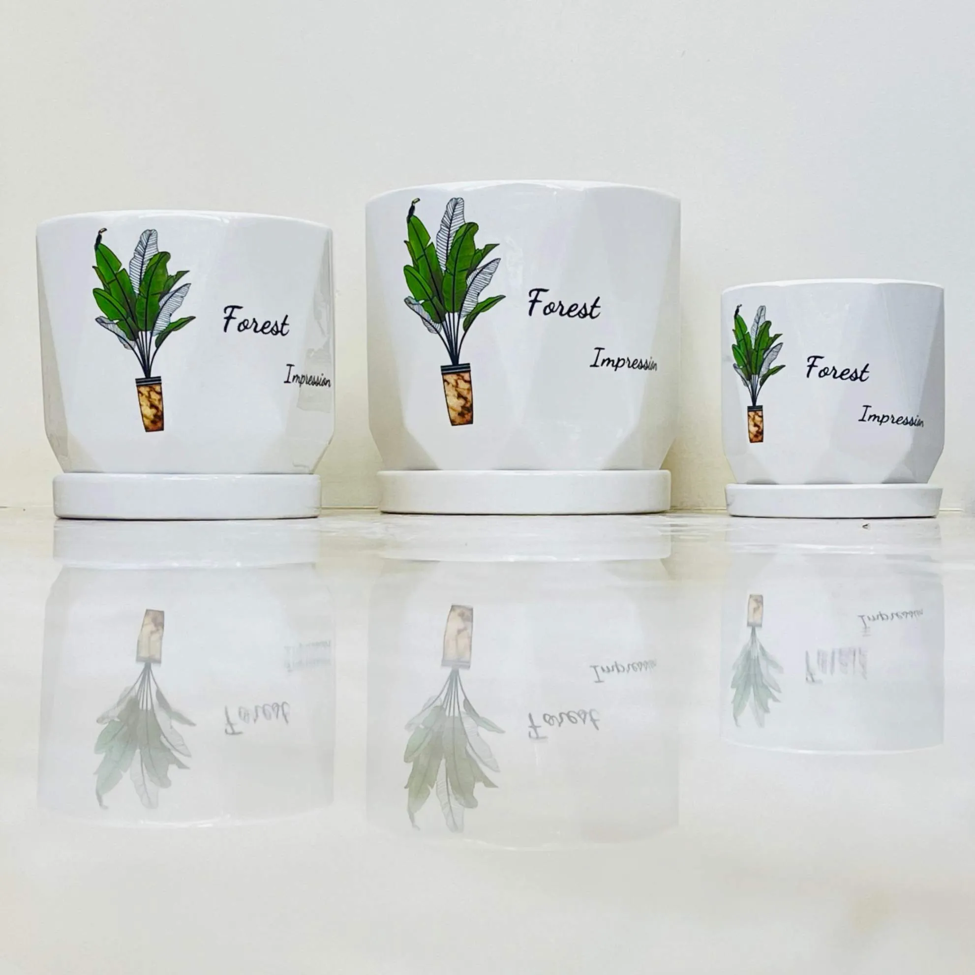 Geometric White Ceramic Planters - Forest Impression Set Of 3