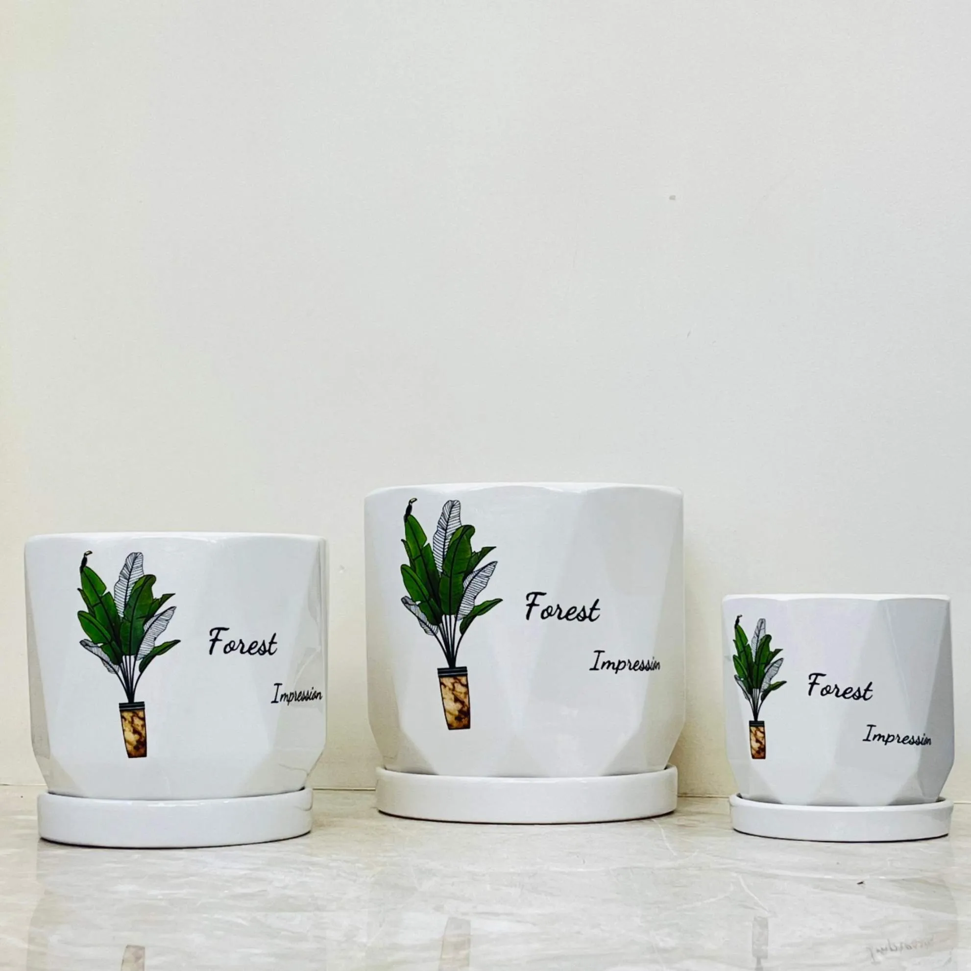 Geometric White Ceramic Planters - Forest Impression Set Of 3