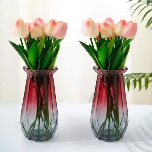Gleevers Glass Vase for Home Decor (2Pcs- 20cm) |Center Table Decorative Items| Flower Vases for Home Decor| Dining Table Decorative Items| Transparent Flower Vase for Living Room| Red-Grey