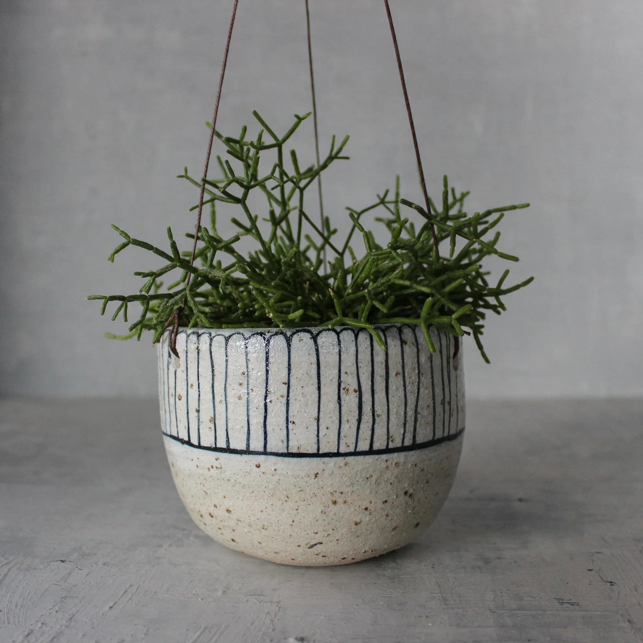 Hanging Ceramic Planters Blue Daisy
