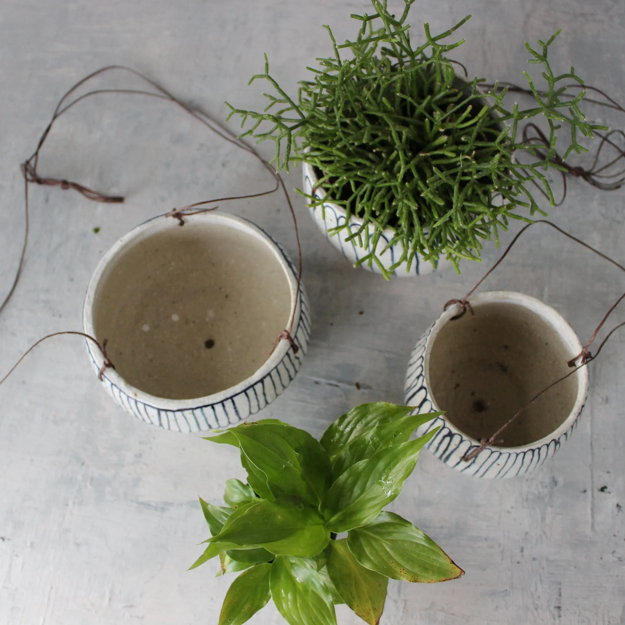 Hanging Ceramic Planters Blue Daisy