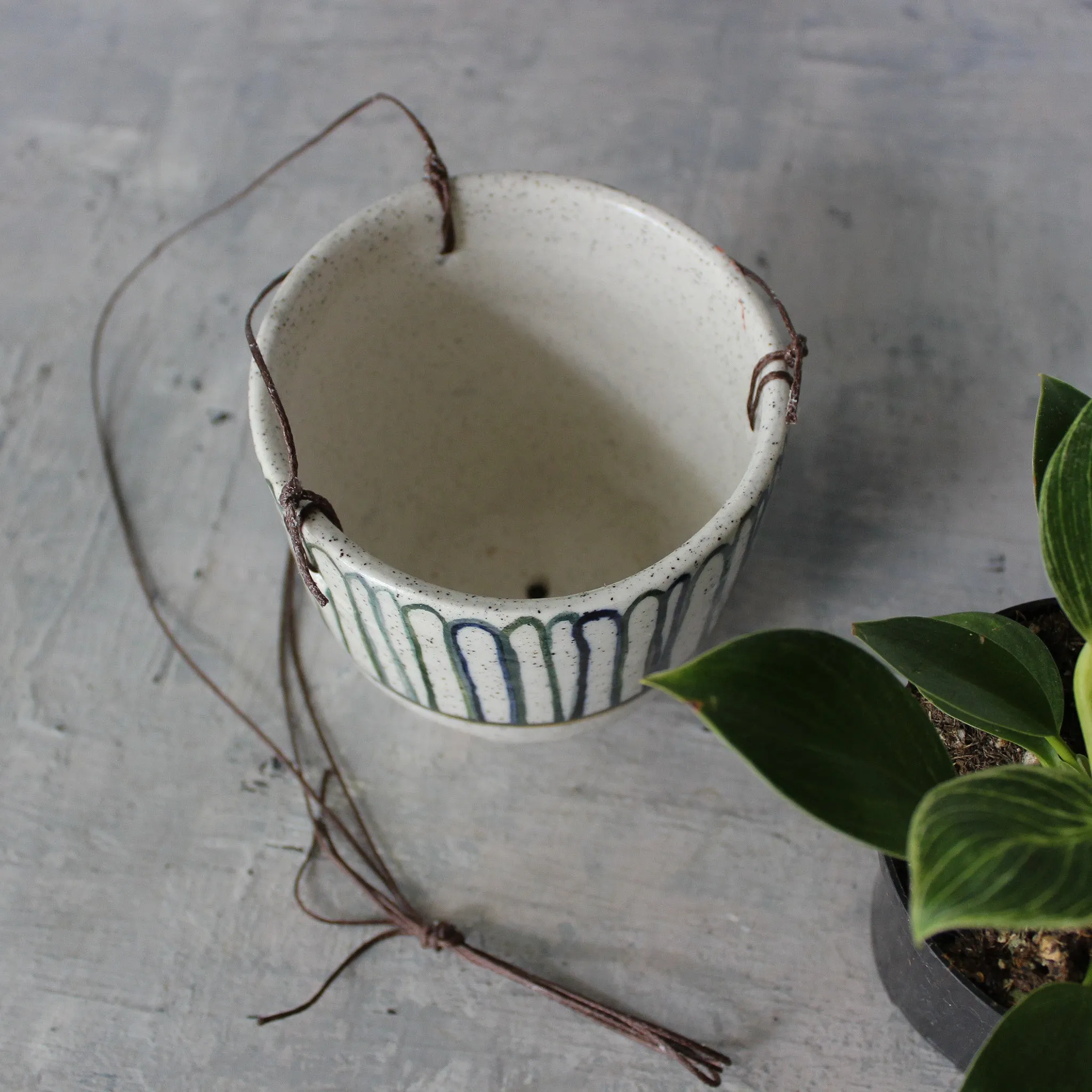 Hanging Ceramic Planters Blue Daisy
