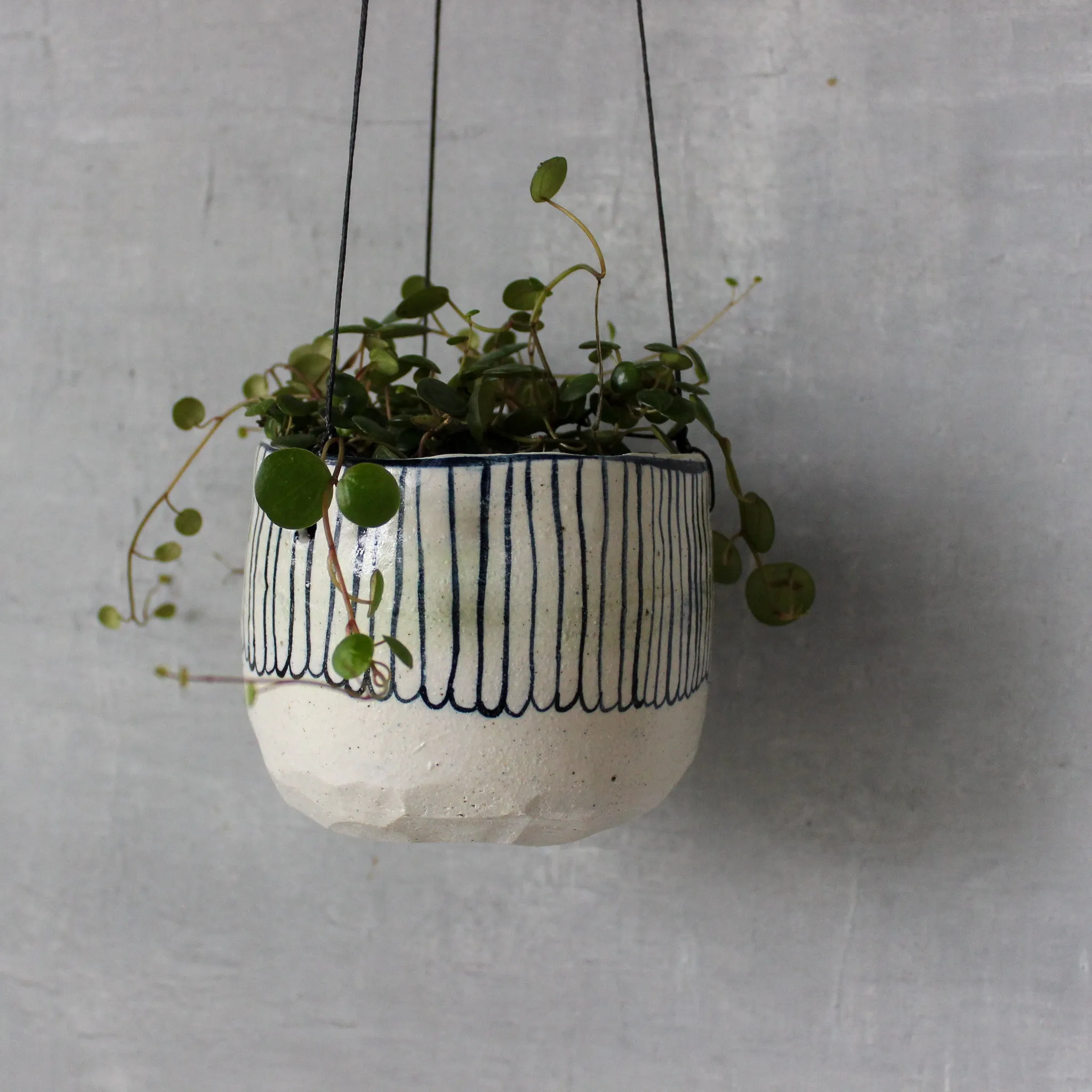 Hanging Ceramic Planters Blue Daisy