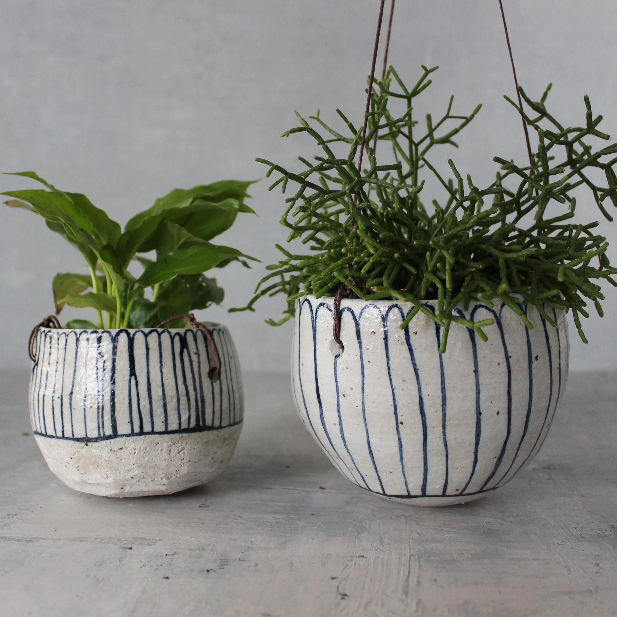 Hanging Ceramic Planters Blue Daisy