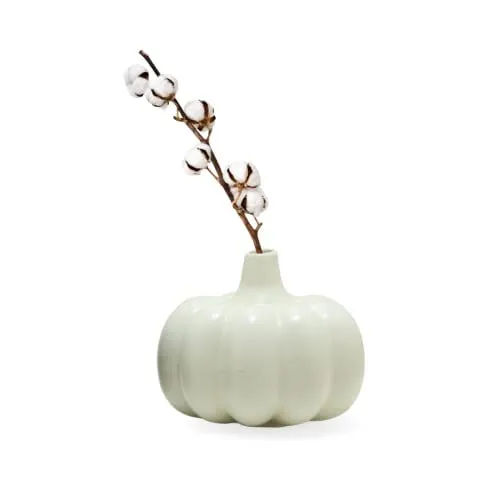 Mirakii 1 Pumpkin Vase of 10cm, Decorate with Twigs, Small Flowers, Artificial Grass or Dried Cotton Branch, Filler Not Included (White)