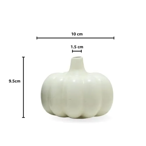 Mirakii 1 Pumpkin Vase of 10cm, Decorate with Twigs, Small Flowers, Artificial Grass or Dried Cotton Branch, Filler Not Included (White)
