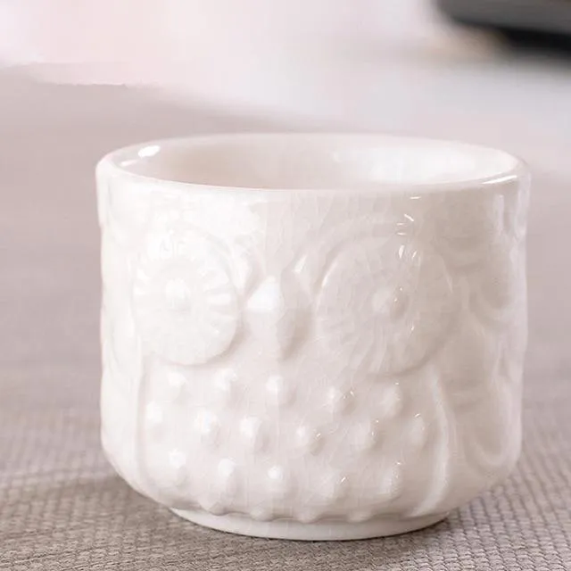 Owl succulents pots