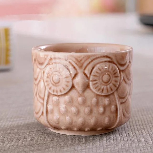 Owl succulents pots