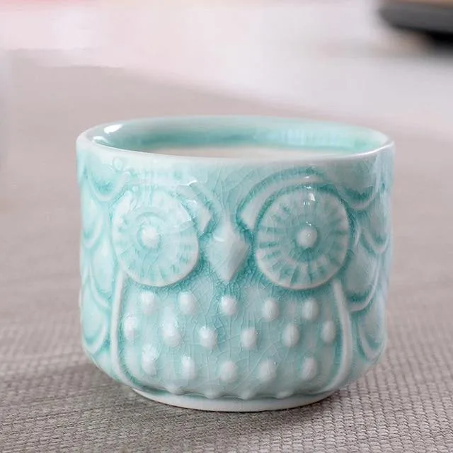 Owl succulents pots