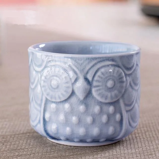 Owl succulents pots