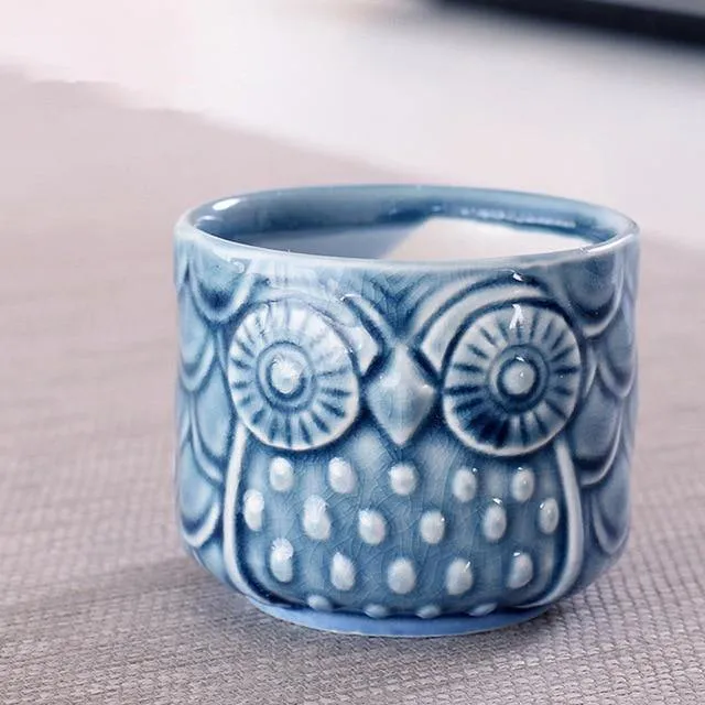 Owl succulents pots