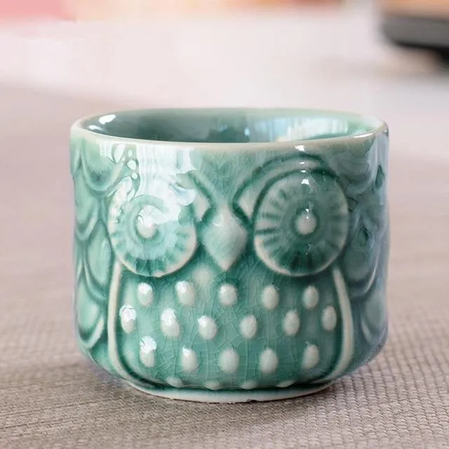 Owl succulents pots