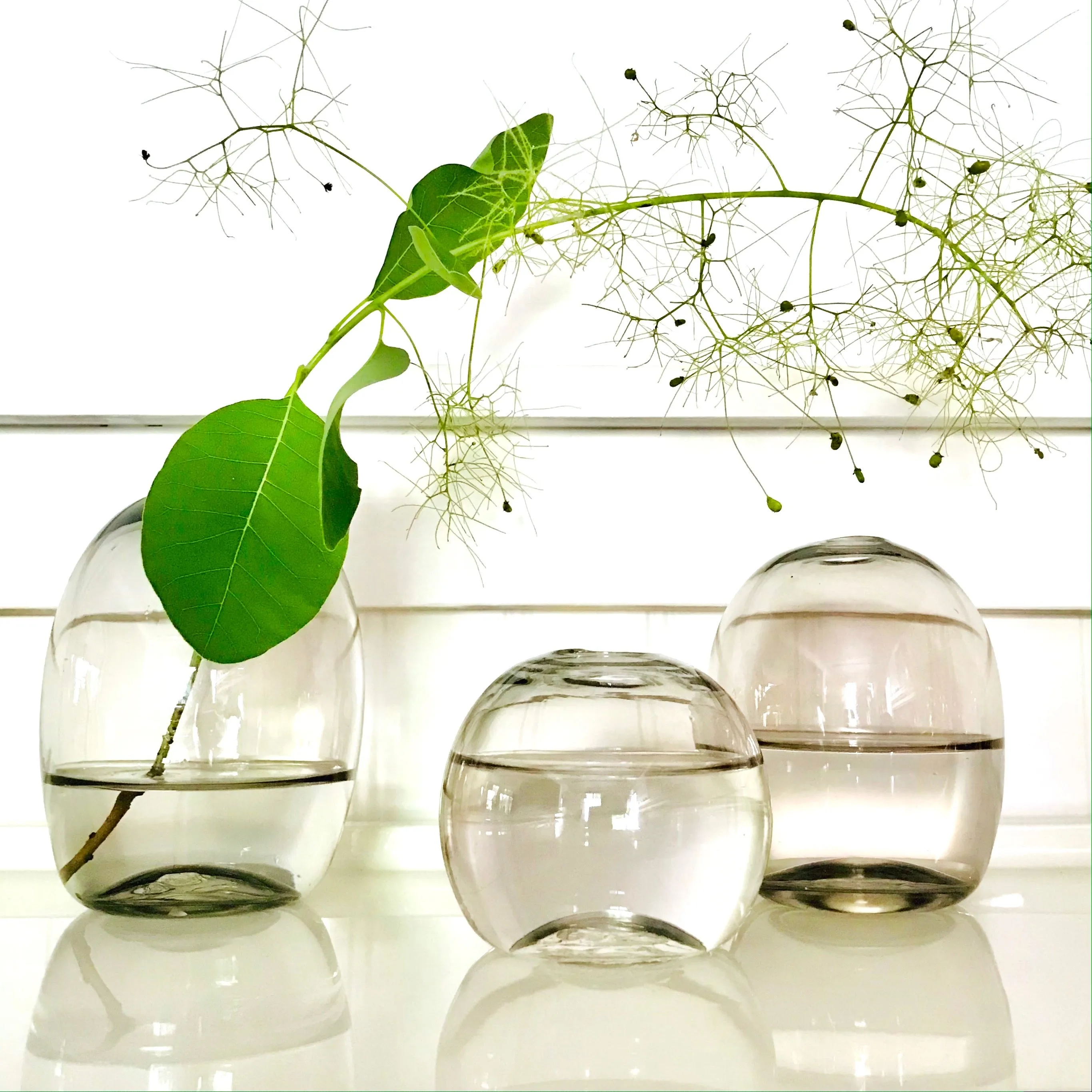"Pallino Vase", medio