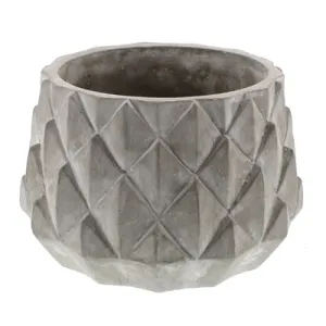 Sago Cement Planter