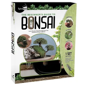 SpiceBox Beginner's Guide to Bonsai Kit
