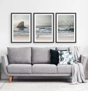 Stormy Ocean With Cliffs, Pelican and Seaguls. Set of 3 Framed Posters