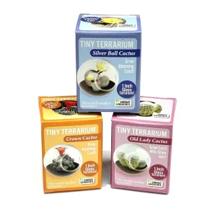 Tiny Terrarium Cactus Grow Kits - Assorted Cacti
