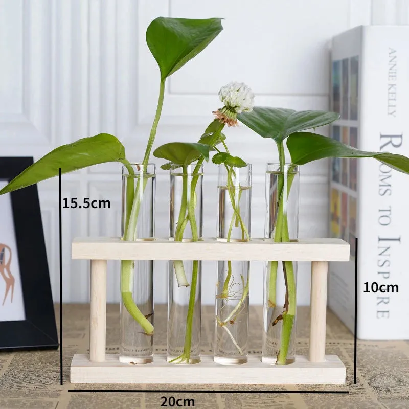 Wood and Glass Hydroponic Plant Vases