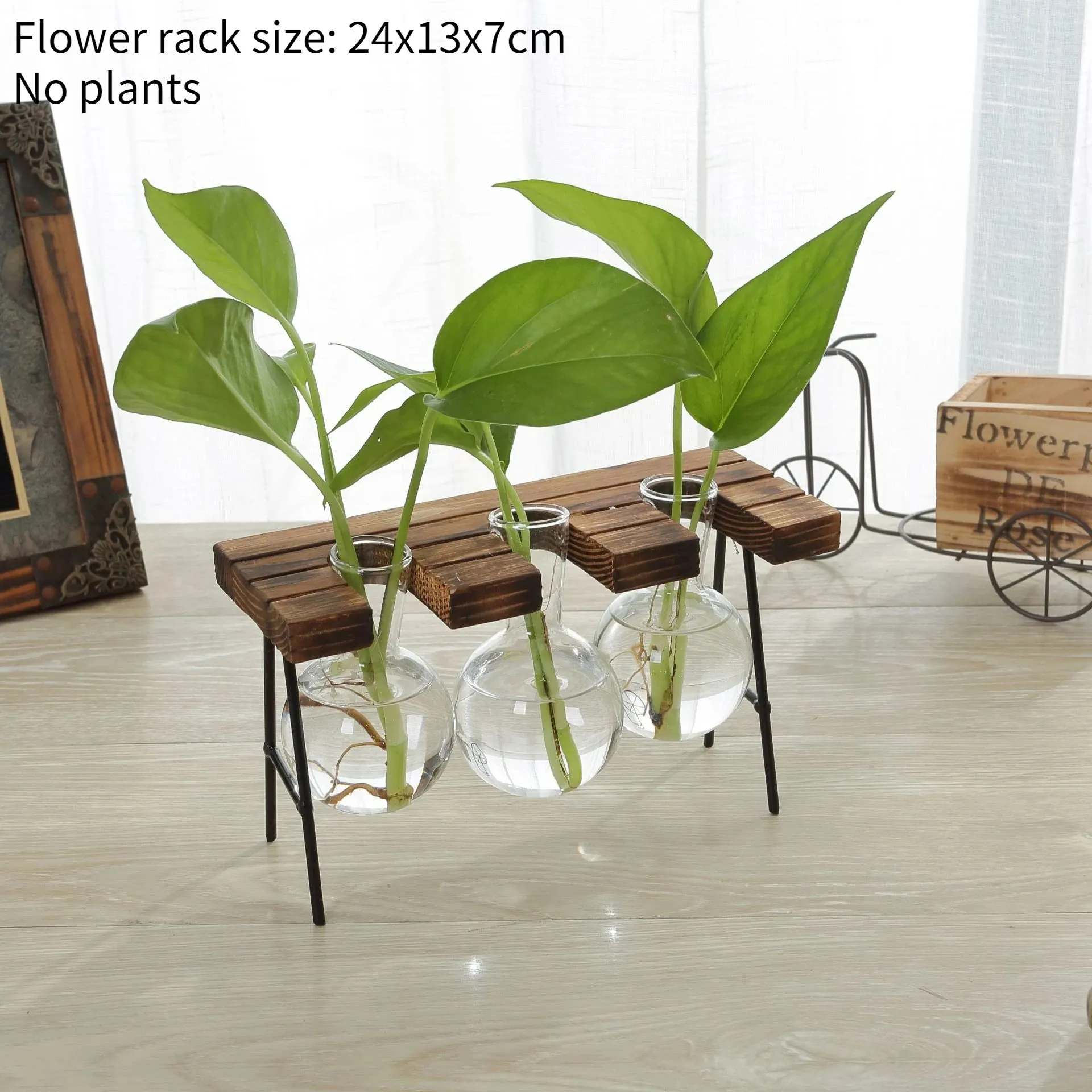 Wood and Glass Hydroponic Plant Vases
